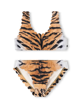 Molo Nolina - Wild Tiger