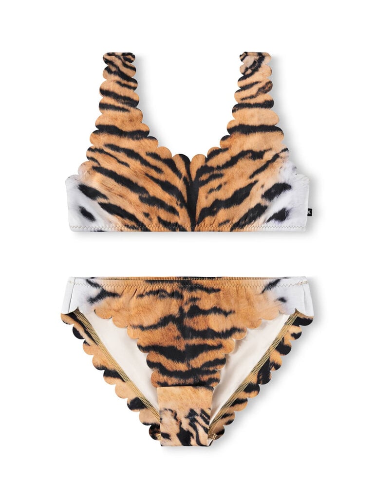 Molo Nolina - Wild Tiger