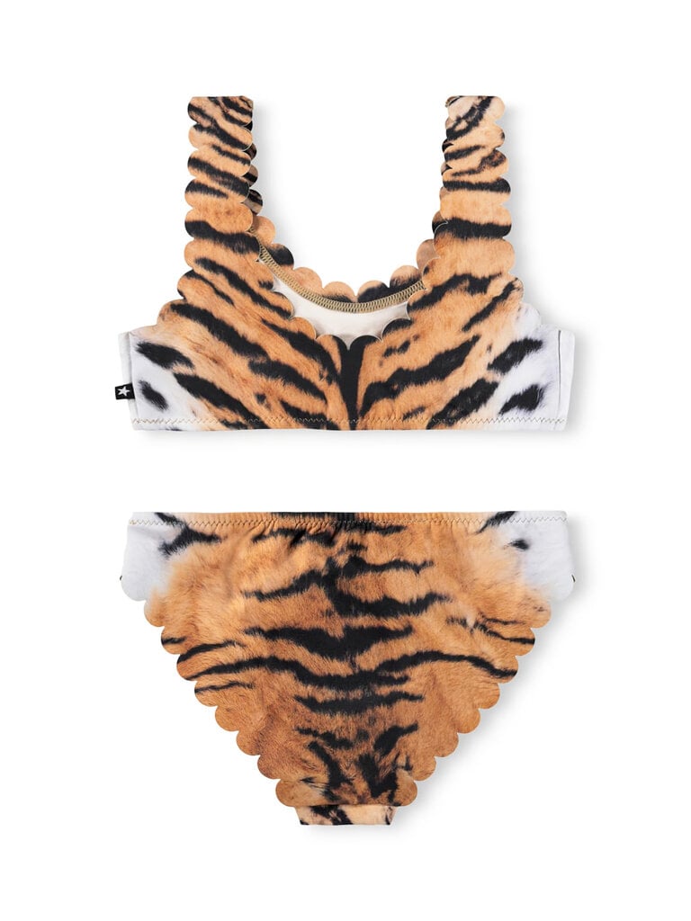 Molo Nolina - Wild Tiger