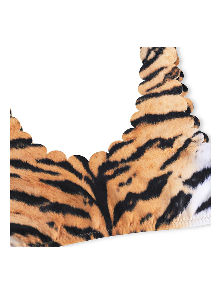 Molo Nolina - Wild Tiger