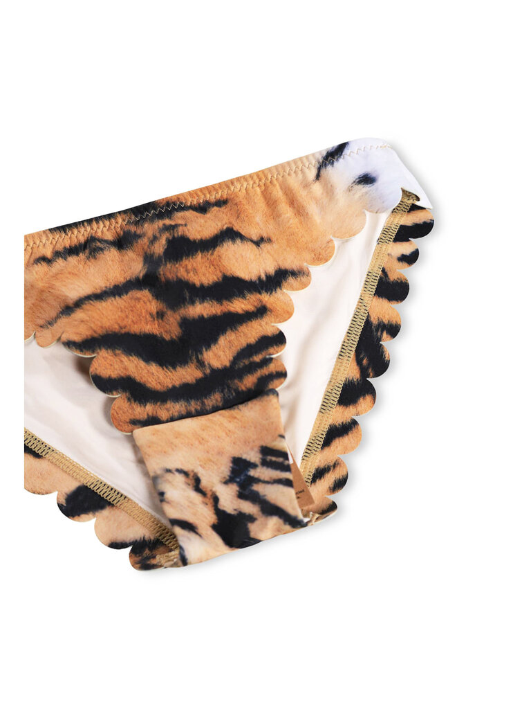 Molo Nolina - Wild Tiger