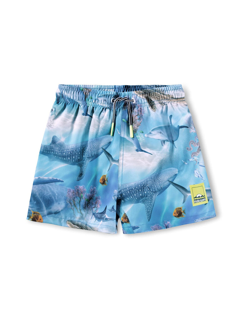 Molo Niko - Air Brush Ocean