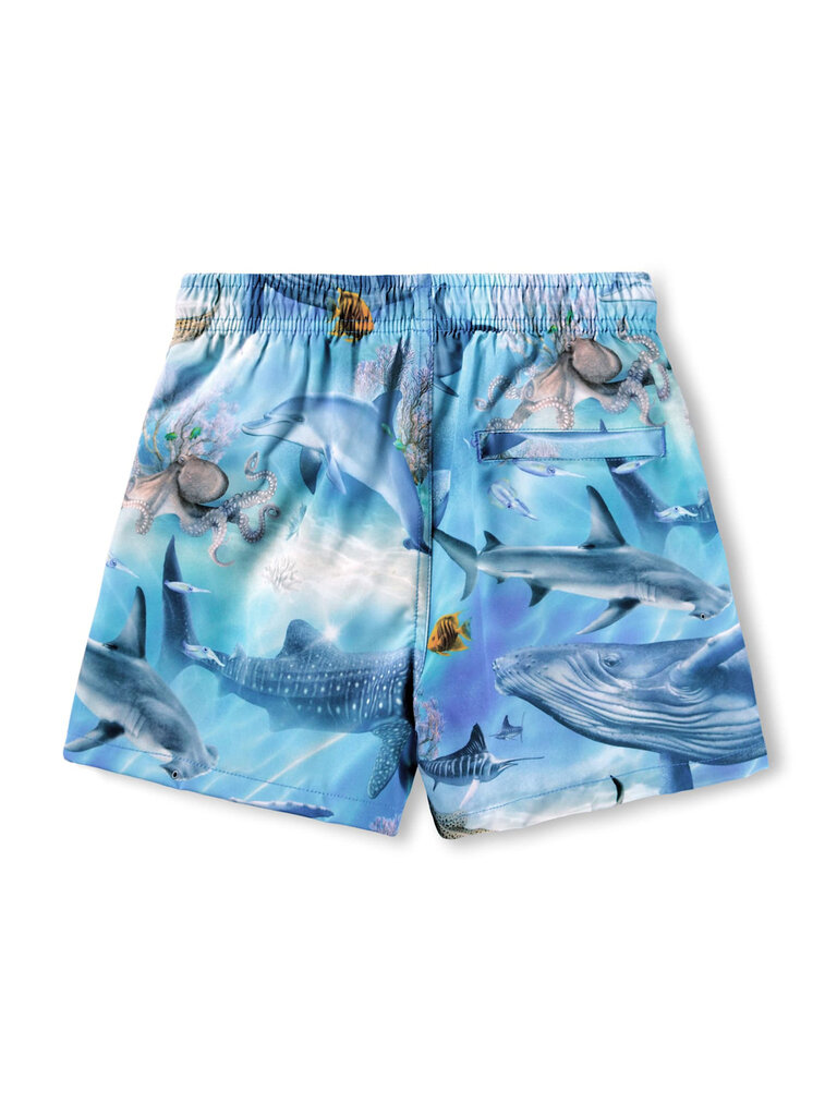 Molo Niko - Air Brush Ocean