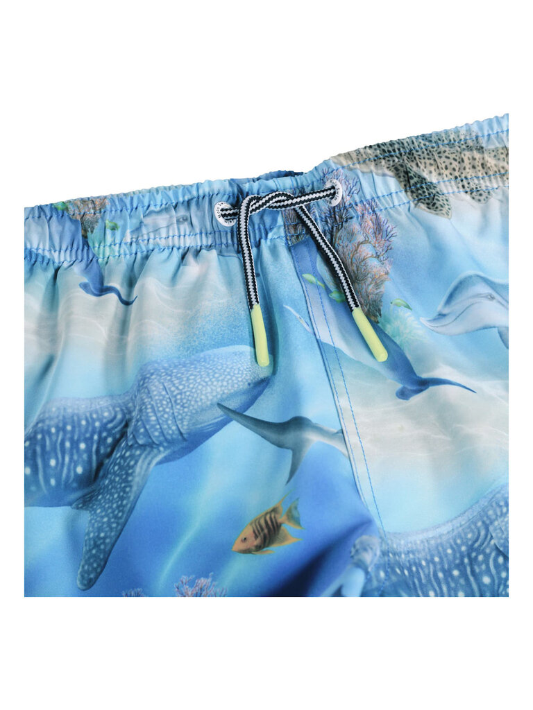 Molo Niko - Air Brush Ocean