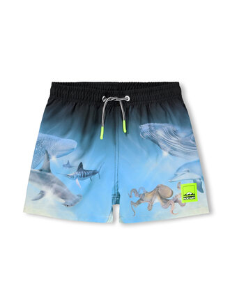 Molo Niko - Air Brush Deep