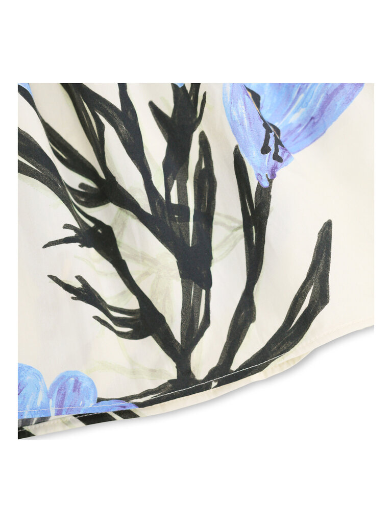 Molo Brisali - Painted Crocus