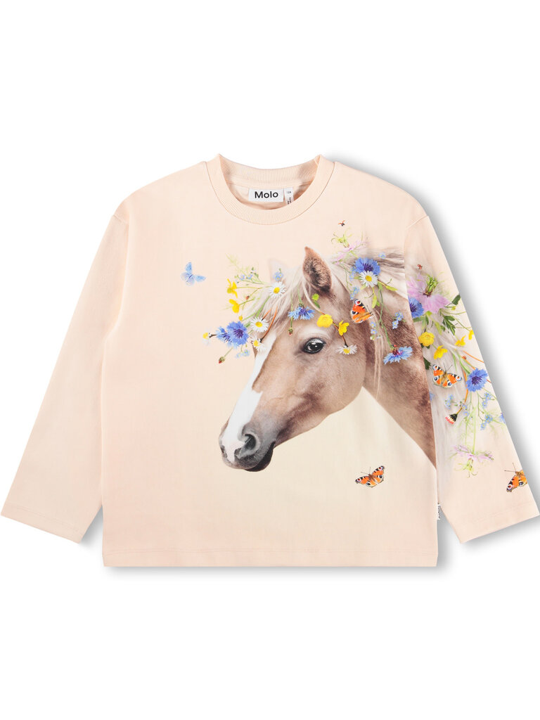 Molo Mountoo - Meadow Horse