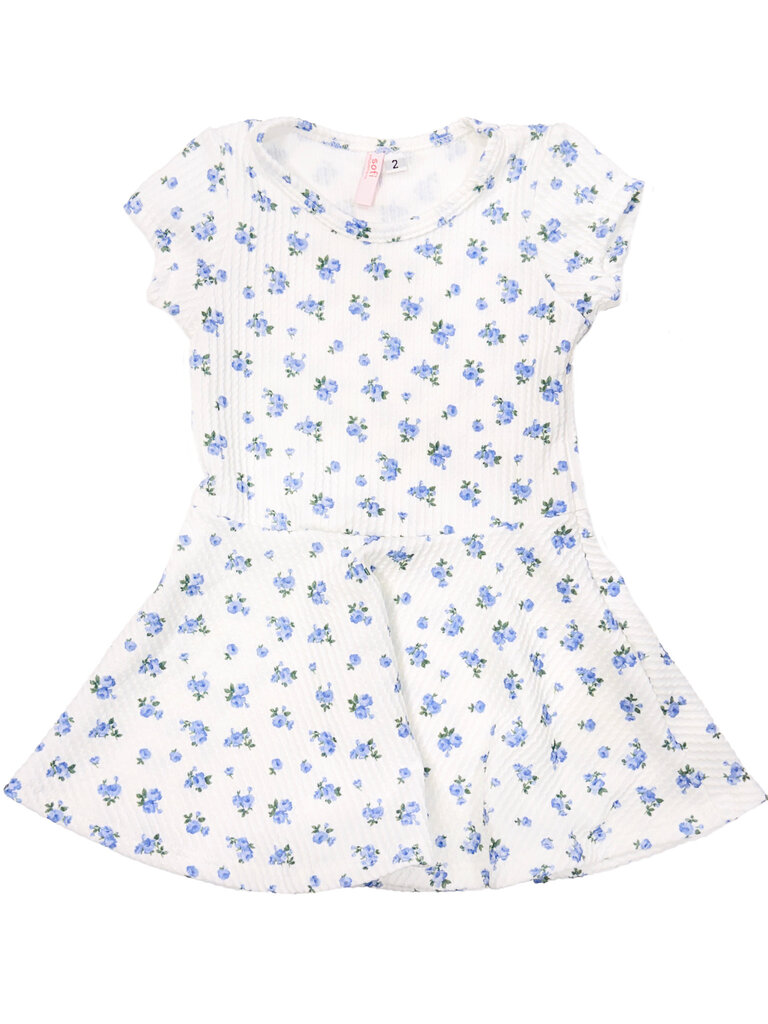 sofi Blue Floral Dress