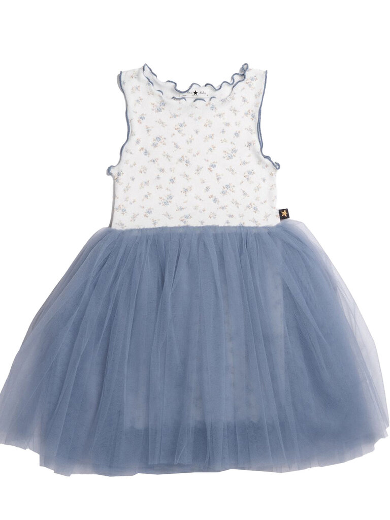 Petite Hailey Blue Grace Floral Tutu Dress