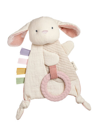 itzy ritzy Bunny Sensory Toy with Teether