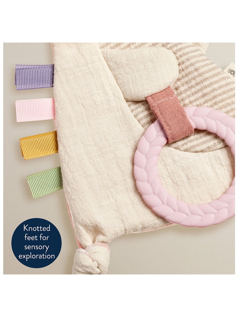 itzy ritzy Bunny Sensory Toy with Teether