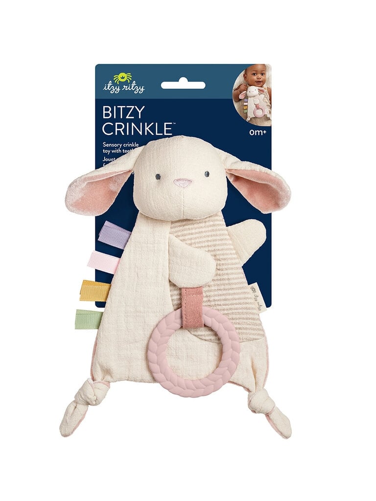 itzy ritzy Bunny Sensory Toy with Teether