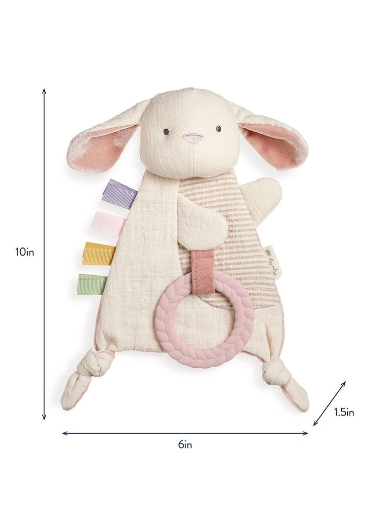 itzy ritzy Bunny Sensory Toy with Teether