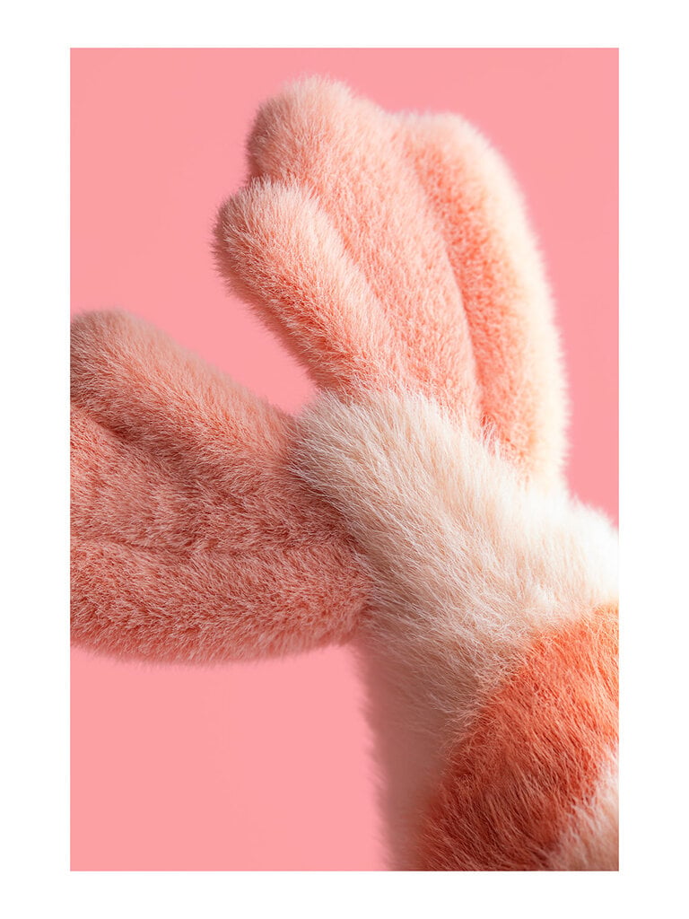 Jellycat Fancy Carp