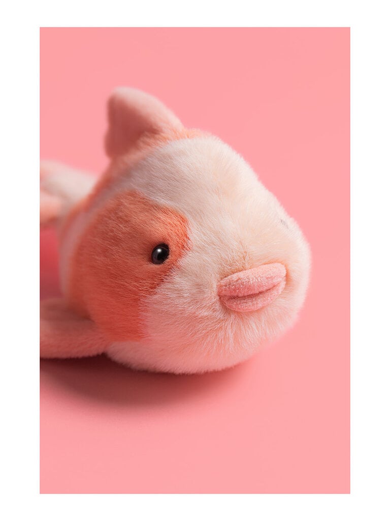Jellycat Fancy Carp