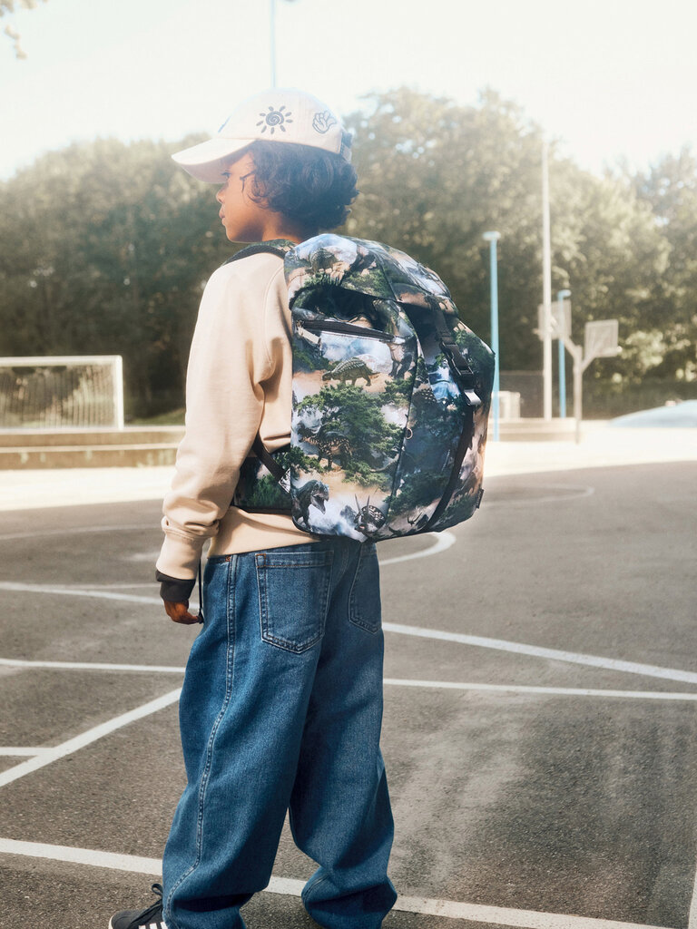 Molo Backpack School - Mountain Dino