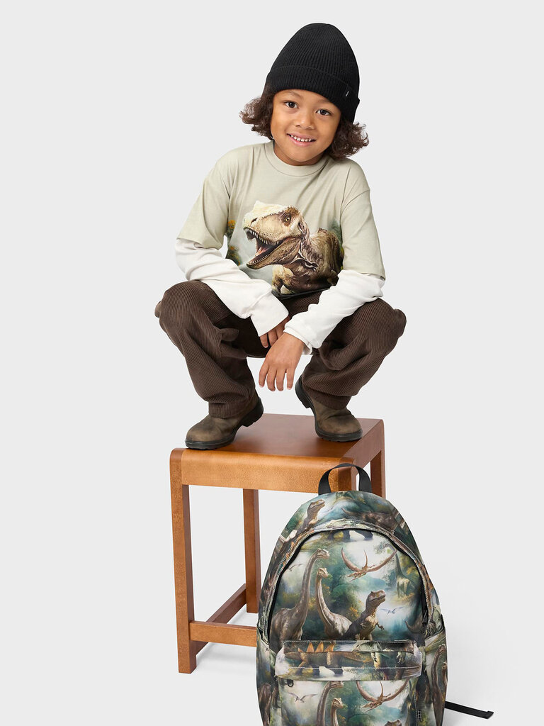 Molo Backpack School - Mountain Dino
