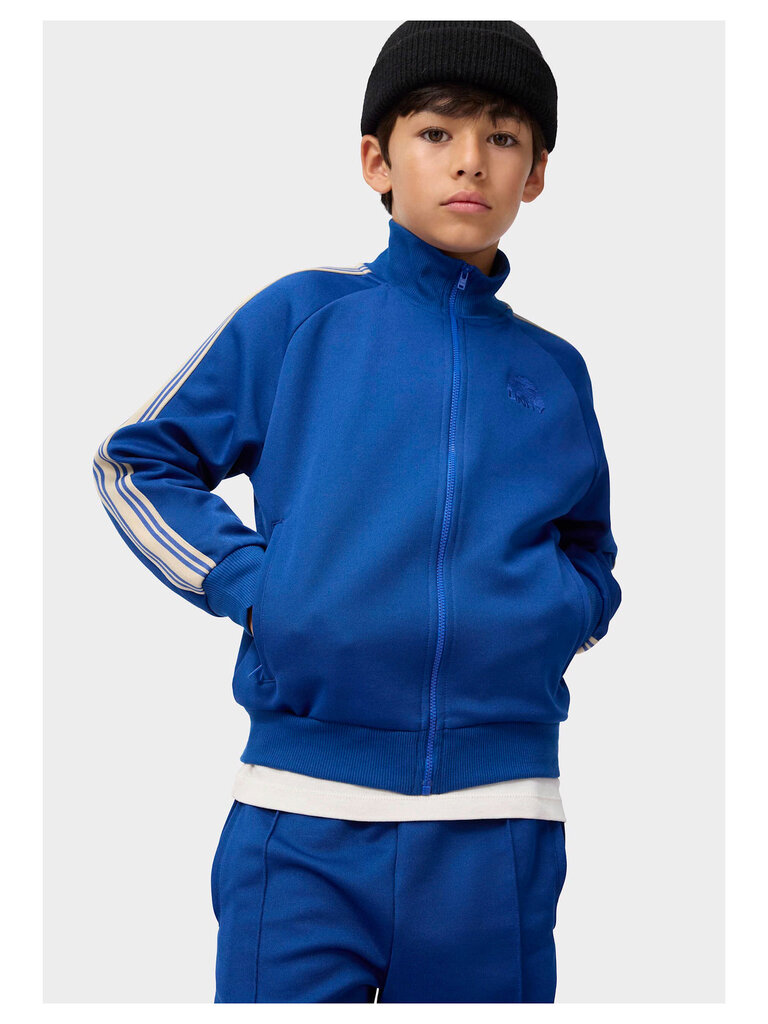 Molo Ash - Naval Blue