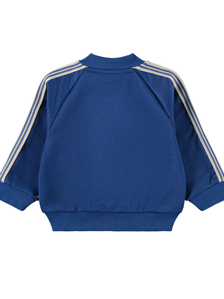Molo Damon - Naval Blue