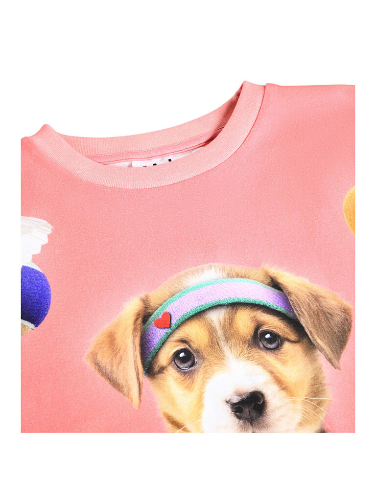 Molo Reniza - Game Pup