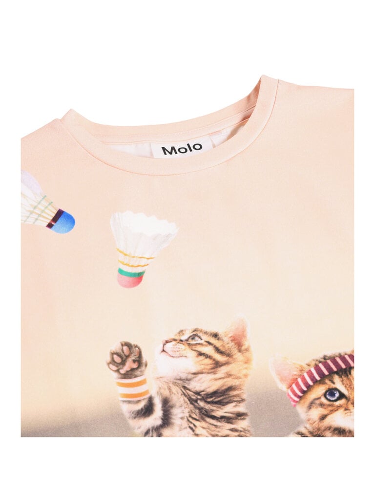 Molo Ragnhilde - Catletics