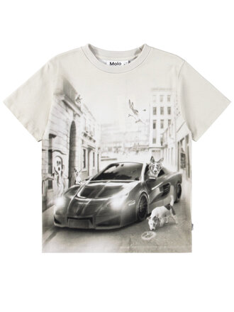 Molo Riley - CurioCity Dogs