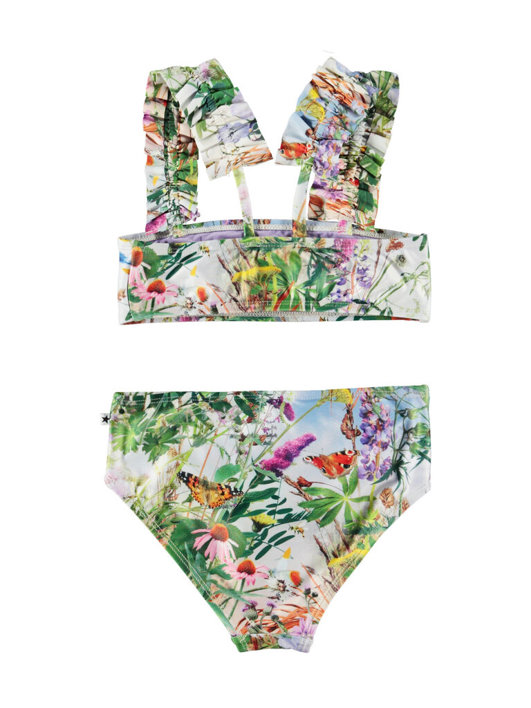 Molo Nice - Wild Nature
