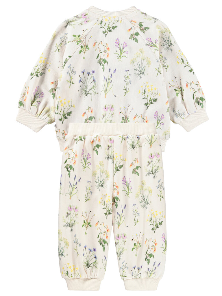 Molo Primavera Set