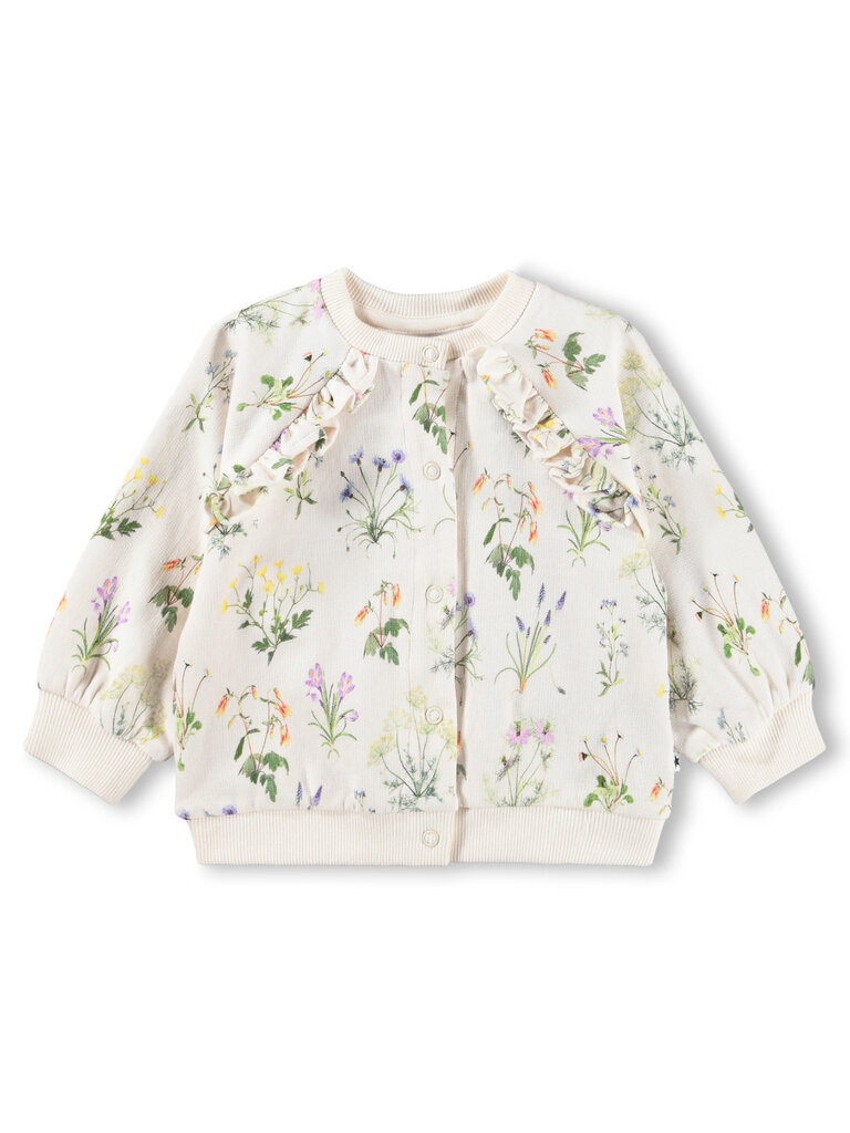 Molo Primavera Set