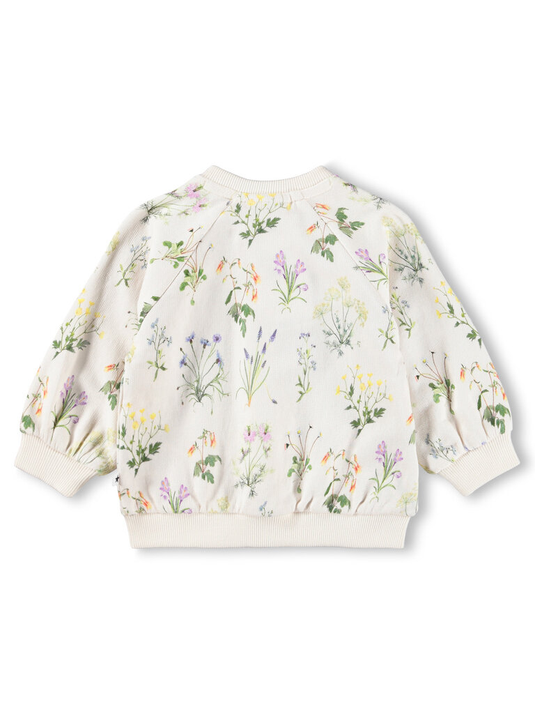Molo Primavera Set