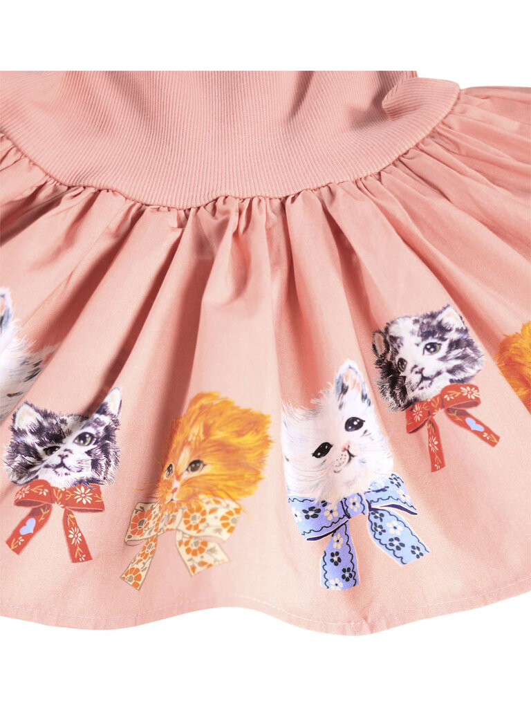 Molo Candi - Fancy Kittens