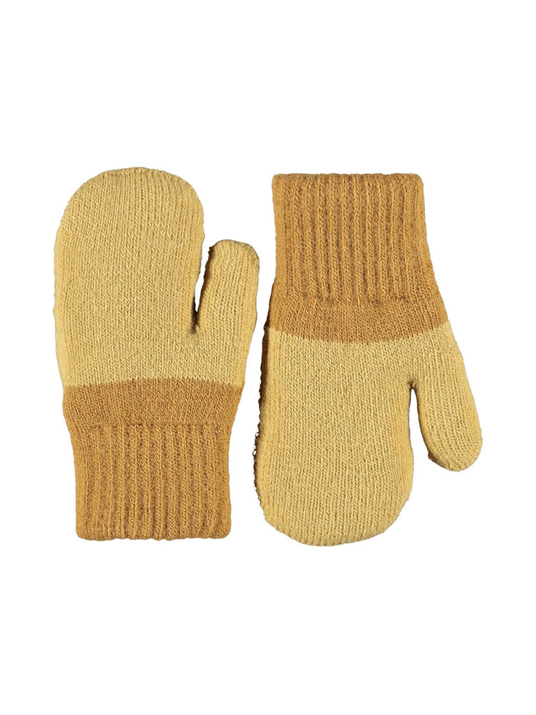 Molo Kenau - Camel