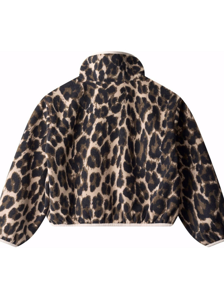 Molo Uliana - Brushed Leo