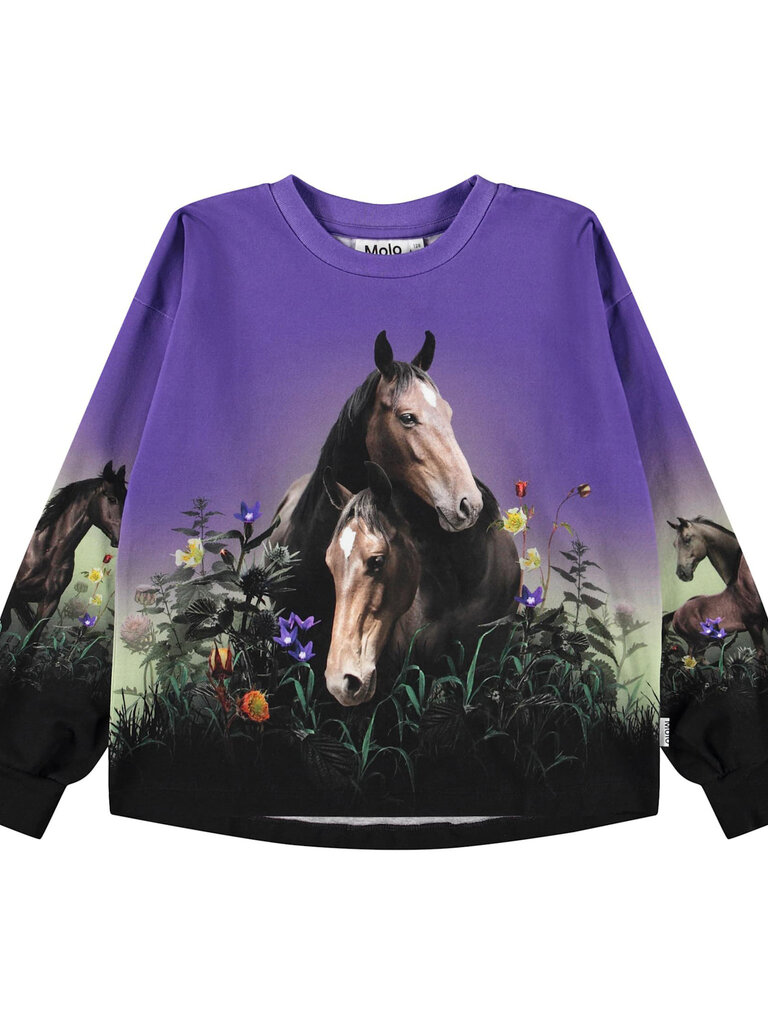 Molo Reniza - Mystic Horses