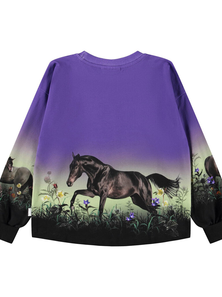 Molo Reniza - Mystic Horses