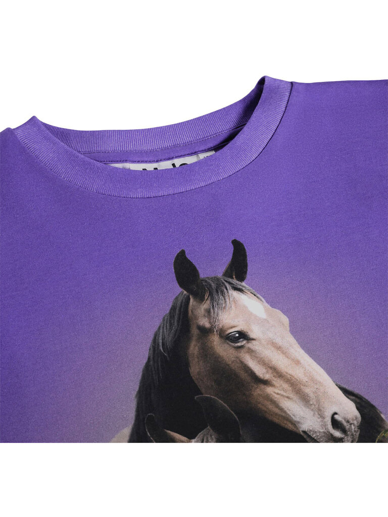 Molo Reniza - Mystic Horses