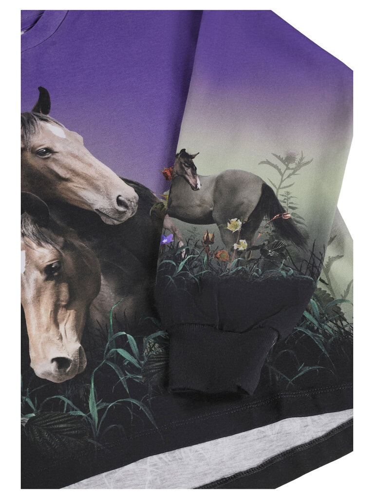 Molo Reniza - Mystic Horses