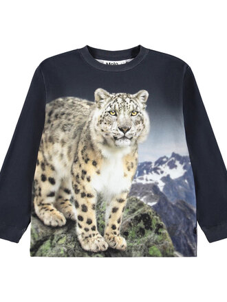 Molo Rube - Snow Leo