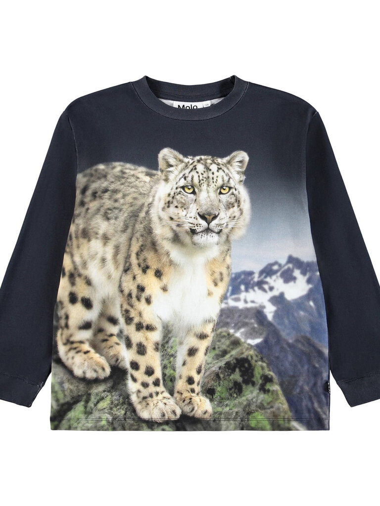 Molo Rube - Snow Leo