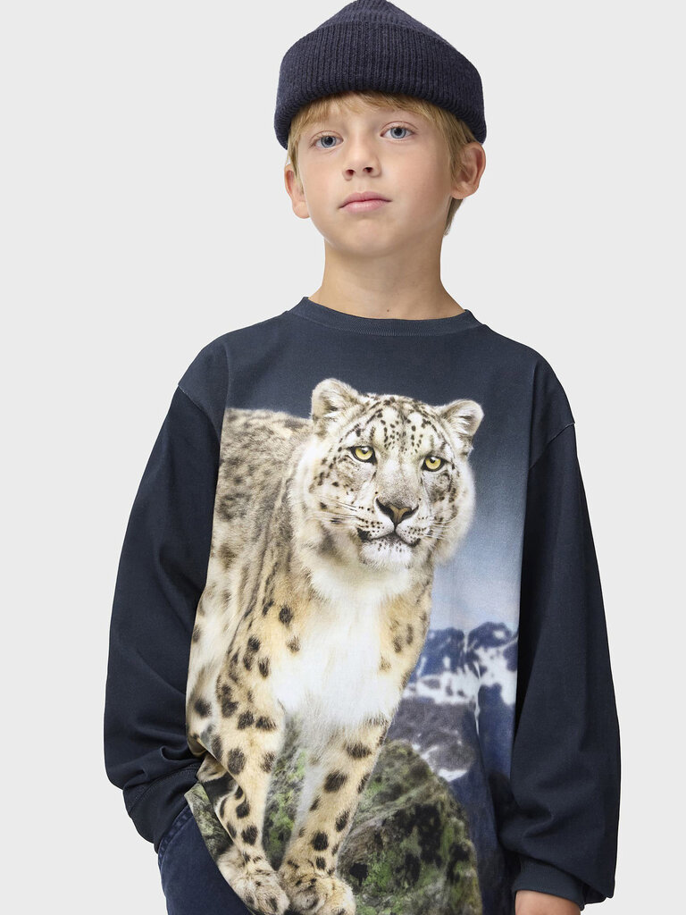 Molo Rube - Snow Leo