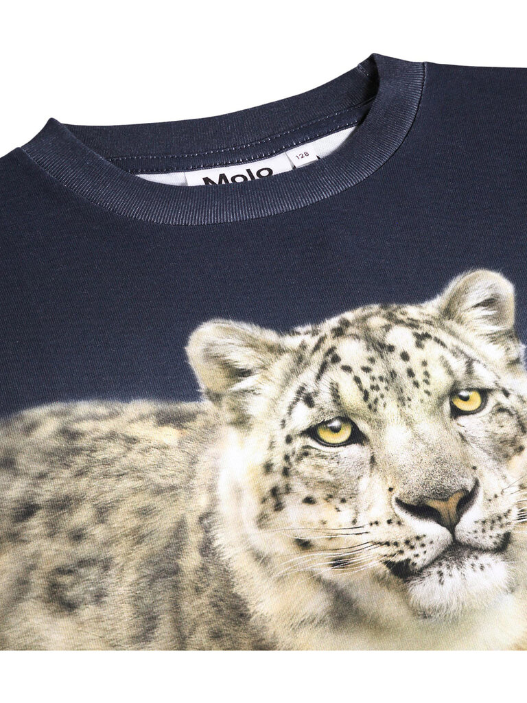 Molo Rube - Snow Leo