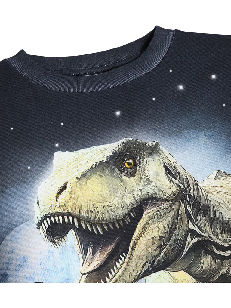 Molo Rube - Moonlight Rex