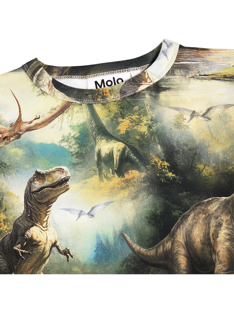 Molo Rill - Dino Harmony