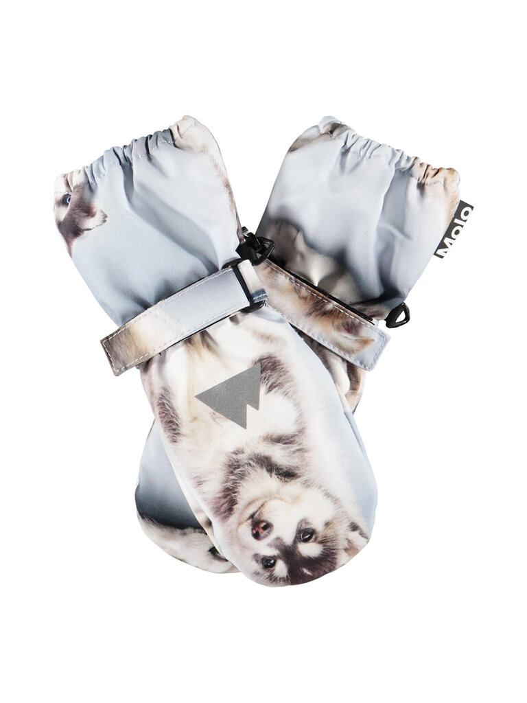 Molo Igor - Husky Cubs
