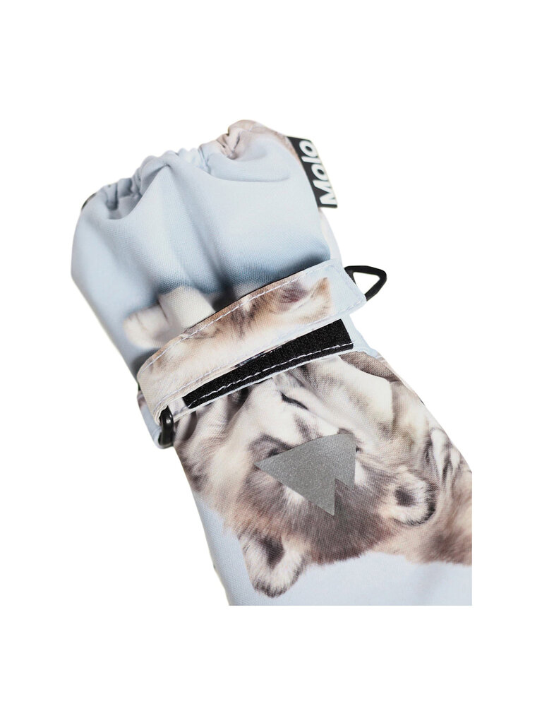 Molo Igor - Husky Cubs