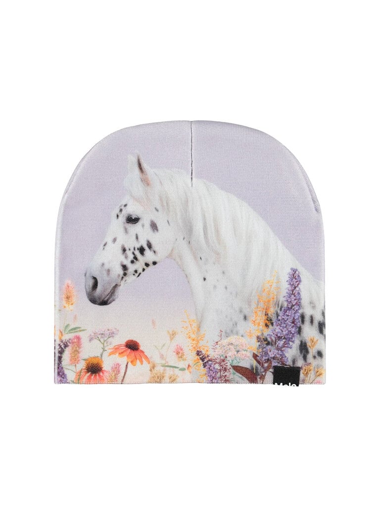 Molo Kaya - Meadow Horse