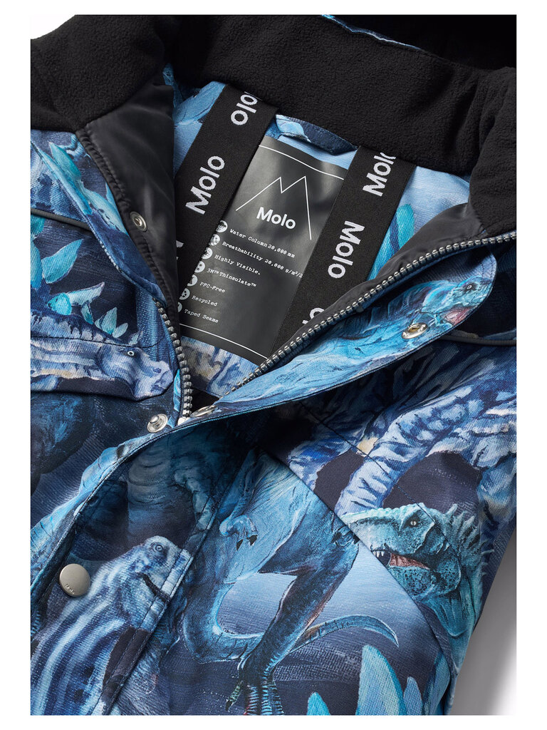Molo Polaris - Arty Dinos