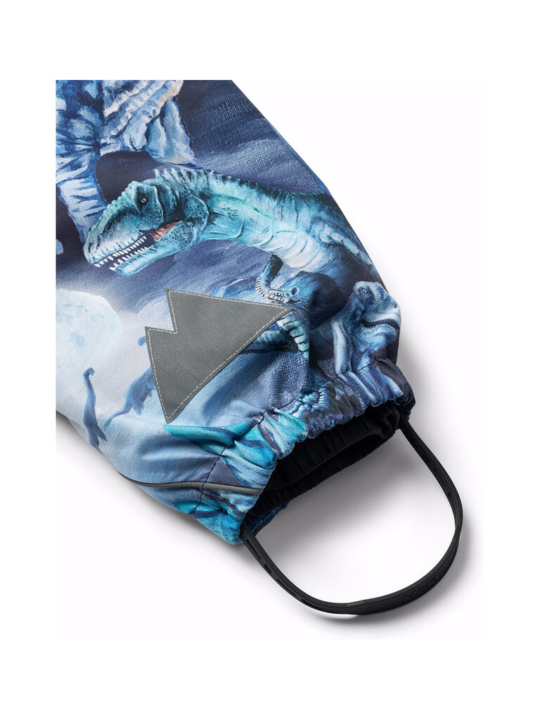 Molo Polaris - Arty Dinos