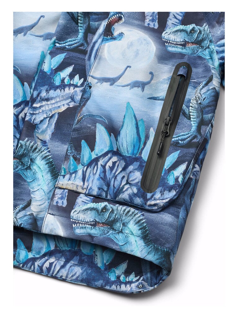 Molo Castor - Arty Dinos