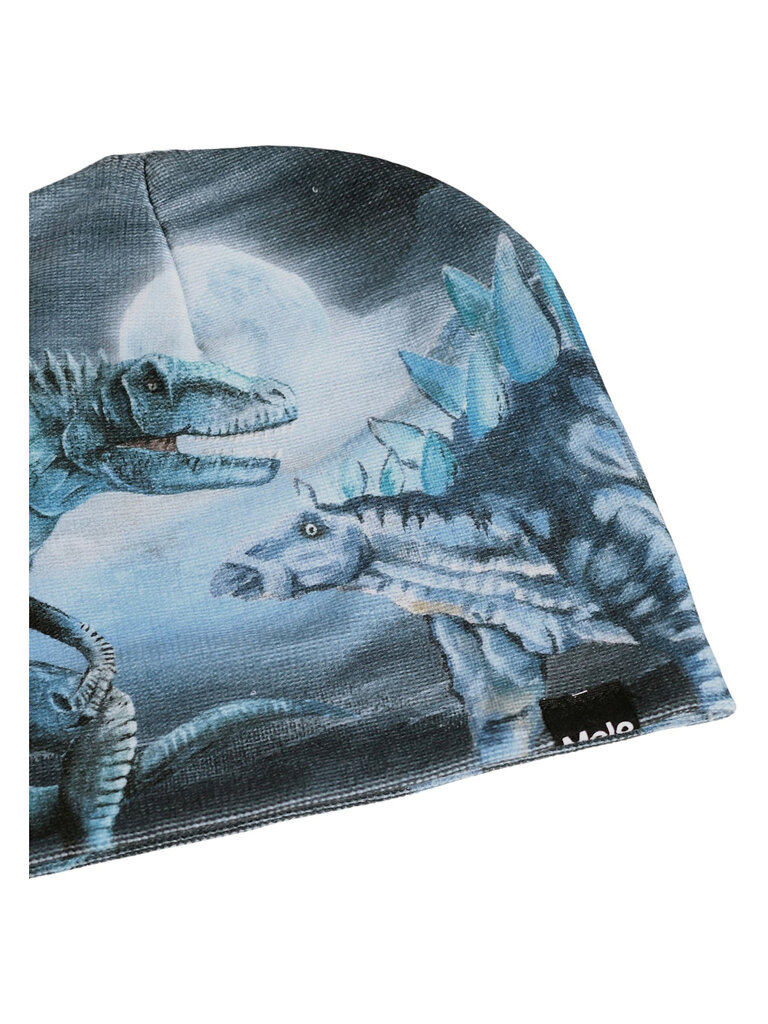 Molo Kaya - Arty Dinos